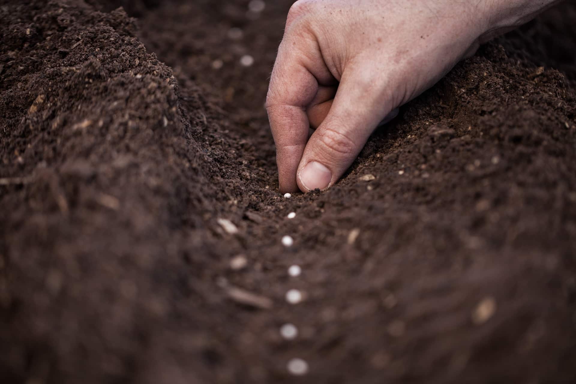 Featured image for “You Will Reap”